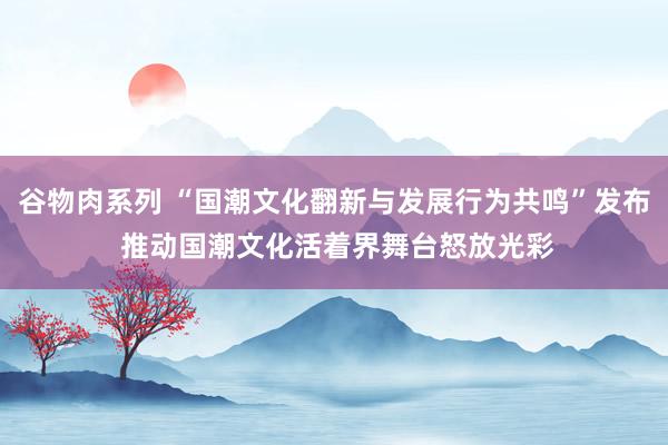 谷物肉系列 “国潮文化翻新与发展行为共鸣”发布 推动国潮文化活着界舞台怒放光彩