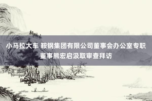 小马拉大车 鞍钢集团有限公司董事会办公室专职董事熊宏启汲取审查拜访