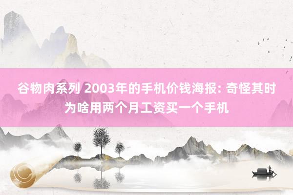 谷物肉系列 2003年的手机价钱海报: 奇怪其时为啥用两个月工资买一个手机