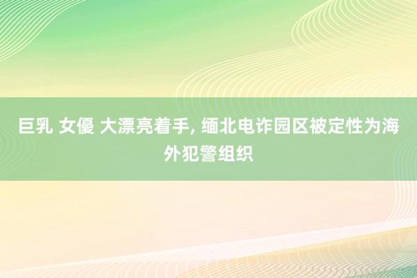 巨乳 女優 大漂亮着手， 缅北电诈园区被定性为海外犯警组织