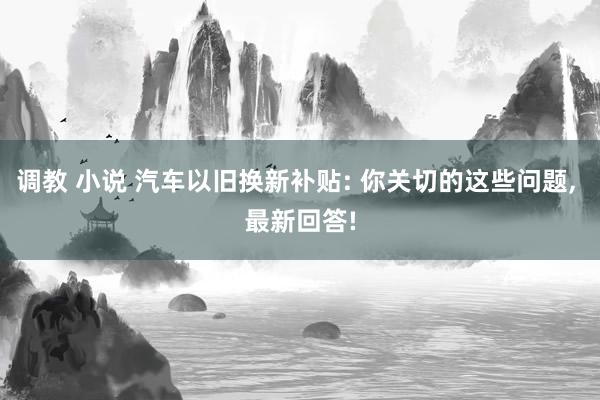 调教 小说 汽车以旧换新补贴: 你关切的这些问题， 最新回答!